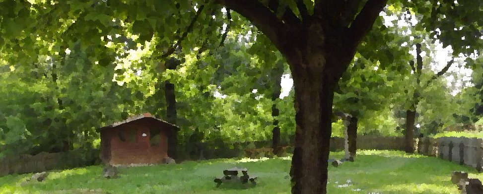 L’epilogo dell’Asilo Nido “Le&nbsp;Birbe”