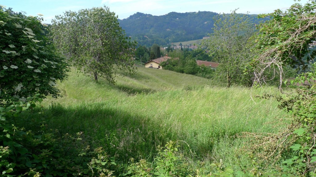 STOP al consumo di suolo a&nbsp;Ponteranica